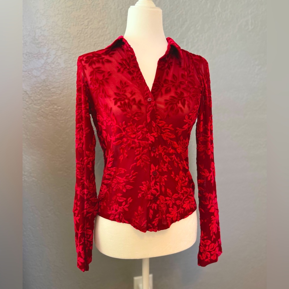 Vintage velvet floral and shear long sleeve